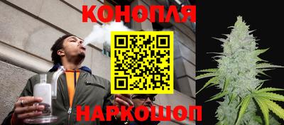 гидропоника Канаш