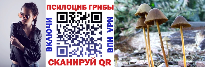 Псилоцибиновые грибы прущие грибы  Чистополь 