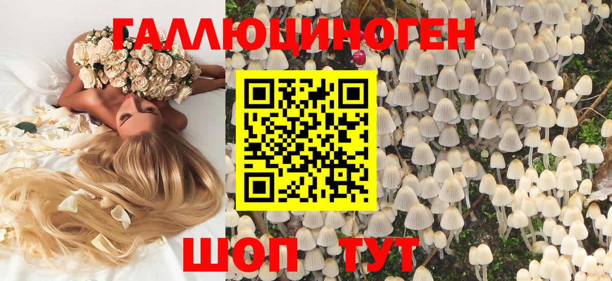 Галлюциногенные грибы MAGIC MUSHROOMS  Вход с VPN  Чистополь 